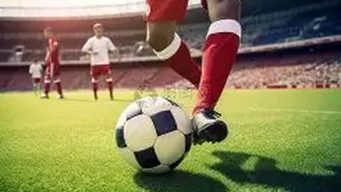 星空娱乐 产品 235538 3d8